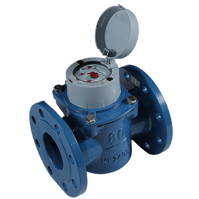 Woltman Water Meter