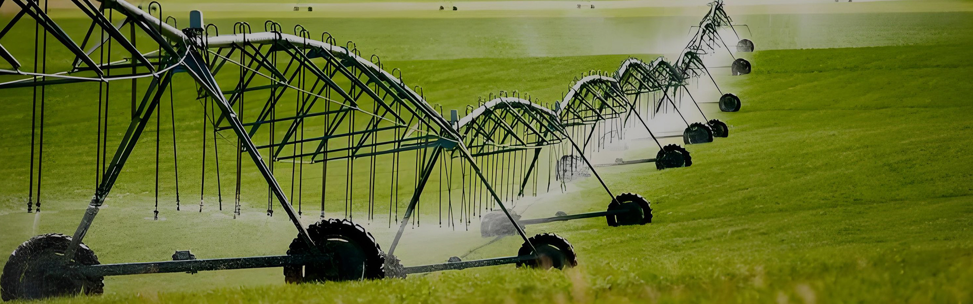 Irrigation Water Meters