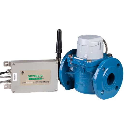 HP5D Bulk Water Meter